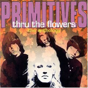 Under My Spell by The Primitives