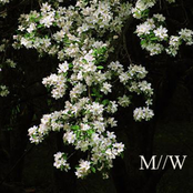 "That makes me feel even worse about myself."