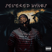 Severed Wings