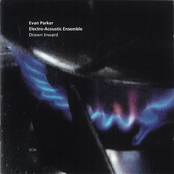 Writing On Ice by Evan Parker Electro-acoustic Ensemble