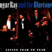 Living Tear to Tear
