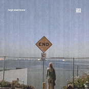 Forget About Forever