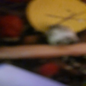 the taste of opium fixed in the sky