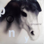 Pony (album Version) by Ginuwine