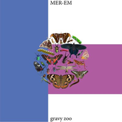 MER-EM