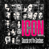 Icon - Tribute to Siouxsie and the Banshees