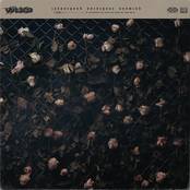 Заповедник последних иллюзий