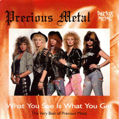 What You See Is What You Get - The Very Best of Precious Metal