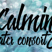 calming water consort