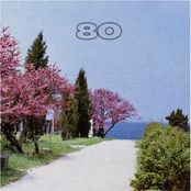 80