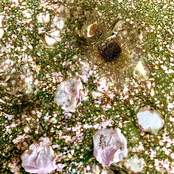 dokoniittemo / itsumadetattemo