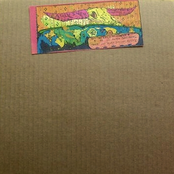 Lower Intestinal Clocks & Gut