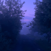 don't leave your memories behind