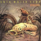 Waking Up by Thin White Rope