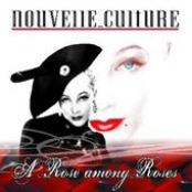 NC A ROSE AMONG ROSES