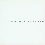 The Lavender Head V3