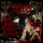 More Gore Than Before