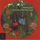 Memories of the rain forest