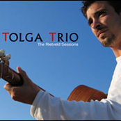 tolga trio