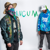 #InCum