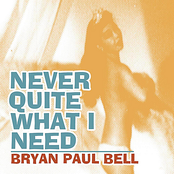 Never Quite What I Need