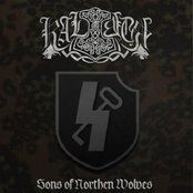Sons of Northen Wolves