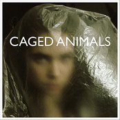 Caged Animals