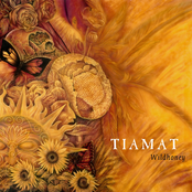 Whatever That Hurts by Tiamat