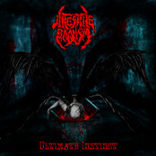 Agony In The Stone Chamber by Intestine Baalism