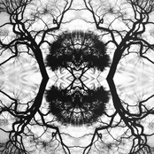 Sonic Mandala