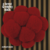 A Forest Mighty Black - Till The End