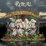 The Hemulic Voluntary Band by Ritual