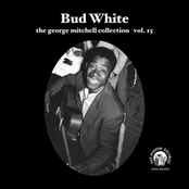 bud white