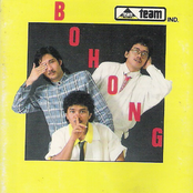 Bohong