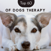 Top 60 of Dogs Therapy (Soothing Relaxation Background for Calm Time, Canine Whisperer, Lullabies for Puppies, Only for Dogs Ear)