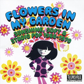 Flowers In My Garden: Sunshine, Soft & Studio Pop 1966-1970