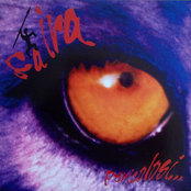 Pericolosi...Come Leoni In Libertà