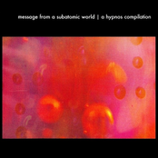 Message From A Subatomic World