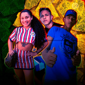 Melo de Ela Pedi Pix (Remix)