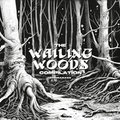 The Wailing Woods Compilation
