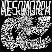mesomorph enduros