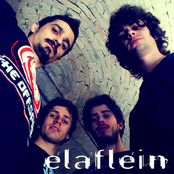 Elaflein