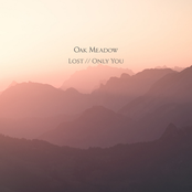 Lost // Only You - Single