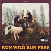 Zacari: Run Wild Run Free