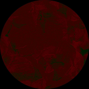 A Kind Robin / Latent Space