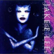 The Velvet Fire by Jake E. Lee