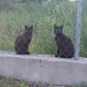 wish we could go back