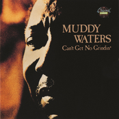 Funky Butt by Muddy Waters