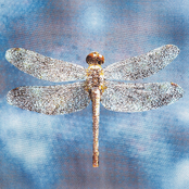 Faceless Angel
