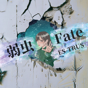 弱虫Fate
